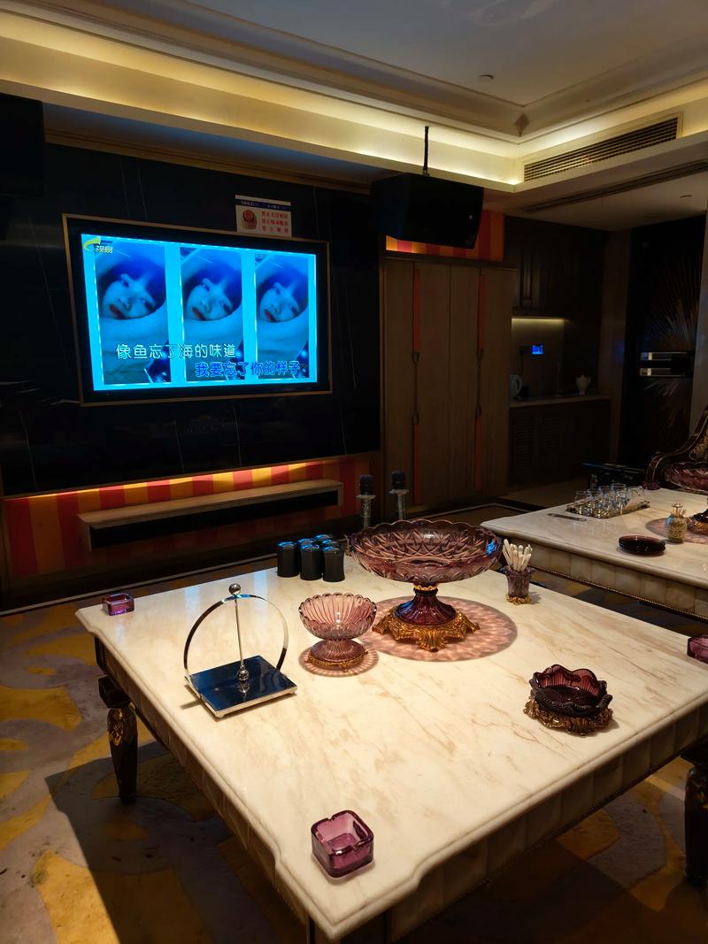 吉林商务ktv新模式创新-龙潭区ktv预订